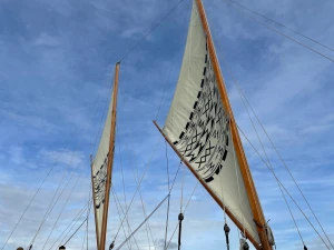 Ngāti Pūkenga Iwi, He Timo Kōrero He Pākiki Hautoa