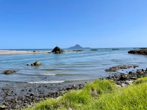 Ngāti Pūkenga Iwi, He Timo Kōrero Hekenga