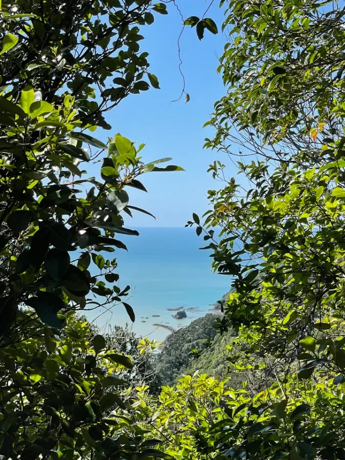 Ngāti Pūkenga Iwi, Tātai Kōrero, Te Tua Whakatere era