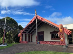 Ngāti Pūkenga Iwi, He Timo Kōrero Ngāti Pūkenga