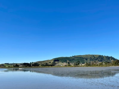 Te Tapa wāhi background image