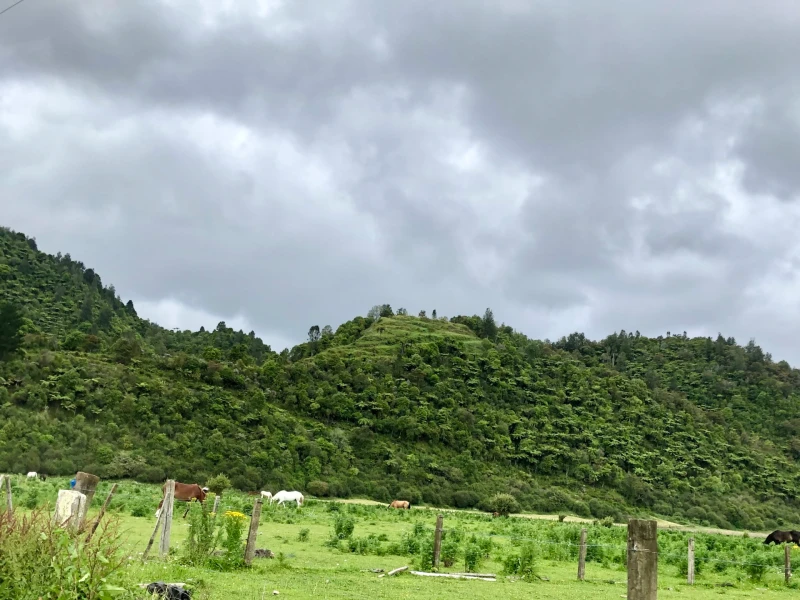 Ngāti Pūkenga Iwi, Owhakatoro | Owhakatoro, Pūkenga - the man