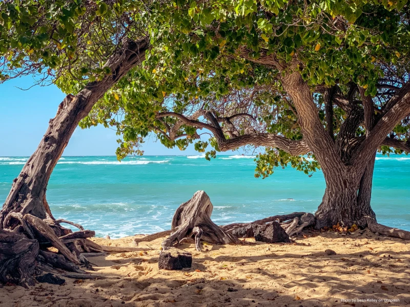 Ngāti Pūkenga Iwi, Tātai Kōrero | Te Tua Uriuri, Hawaiki