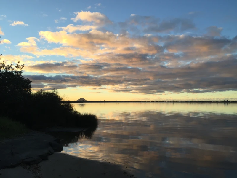 Ngāti Pūkenga Iwi, Reo | Whakataukī / Whakatauākī