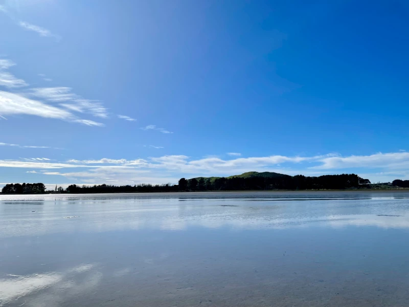 Ngāti Pūkenga Iwi, Reo | Whakataukī / Whakatauākī, "Ngā Pāpaka o Rangataua."