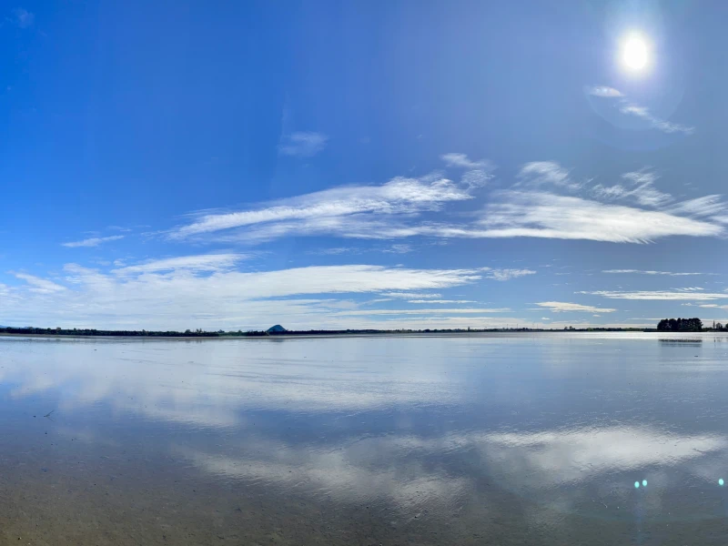 Ngāti Pūkenga Iwi, Reo | Whakataukī / Whakatauākī, “Ngāti Pūkenga, takamua, takamuri.”
