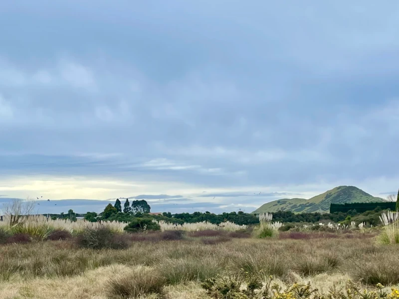 Ngāti Pūkenga Iwi, Reo | Whakataukī / Whakatauākī, “Ngāti Pūkenga, hamuti wera.”