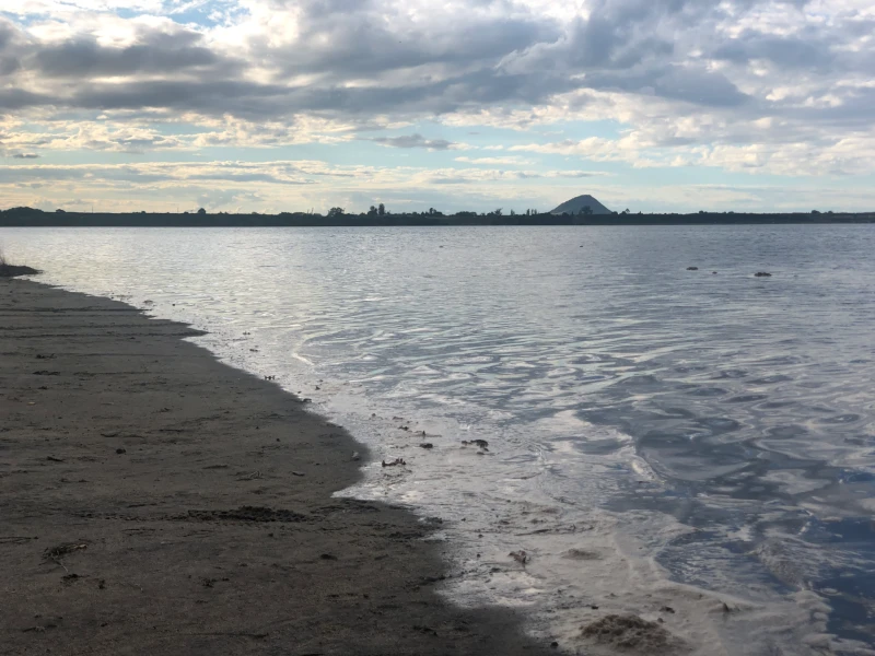 Ngāti Pūkenga Iwi, Reo | Whakataukī / Whakatauākī, "He paruparu ngā kai, he taniwha ngā tāngata."