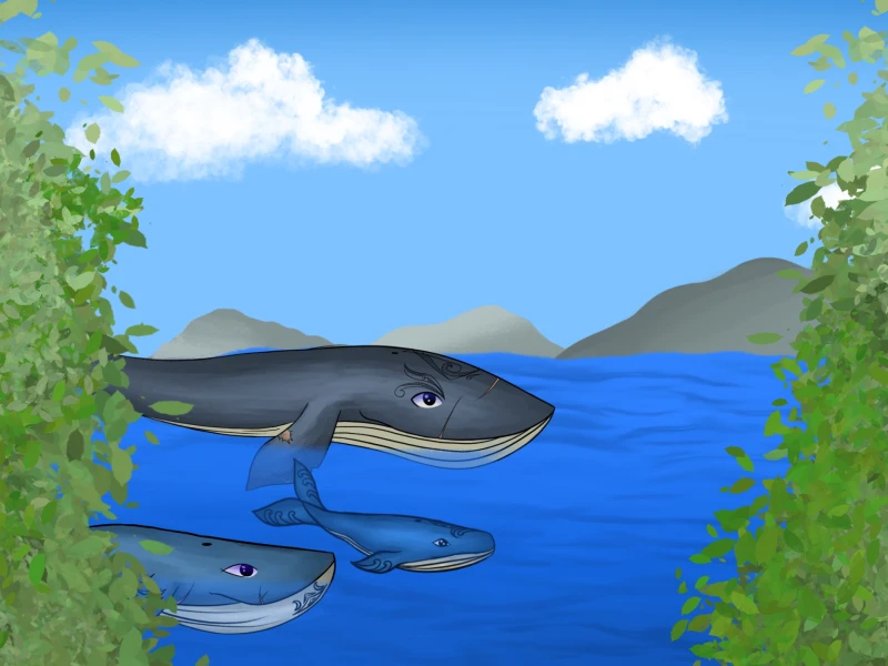 Ngāti Pūkenga Iwi, Kete Ako | Teacher Gallery