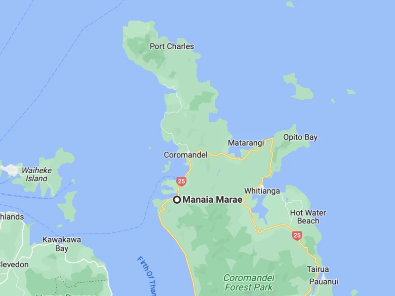 Ngāti Pūkenga Iwi, Quick facts | Manaia