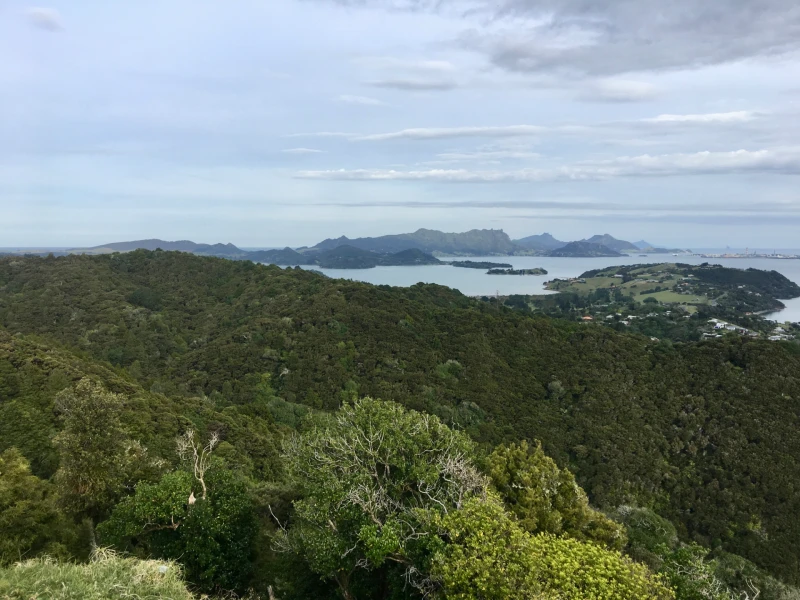 Ngāti Pūkenga Iwi, Quick facts | Pakikaikutu