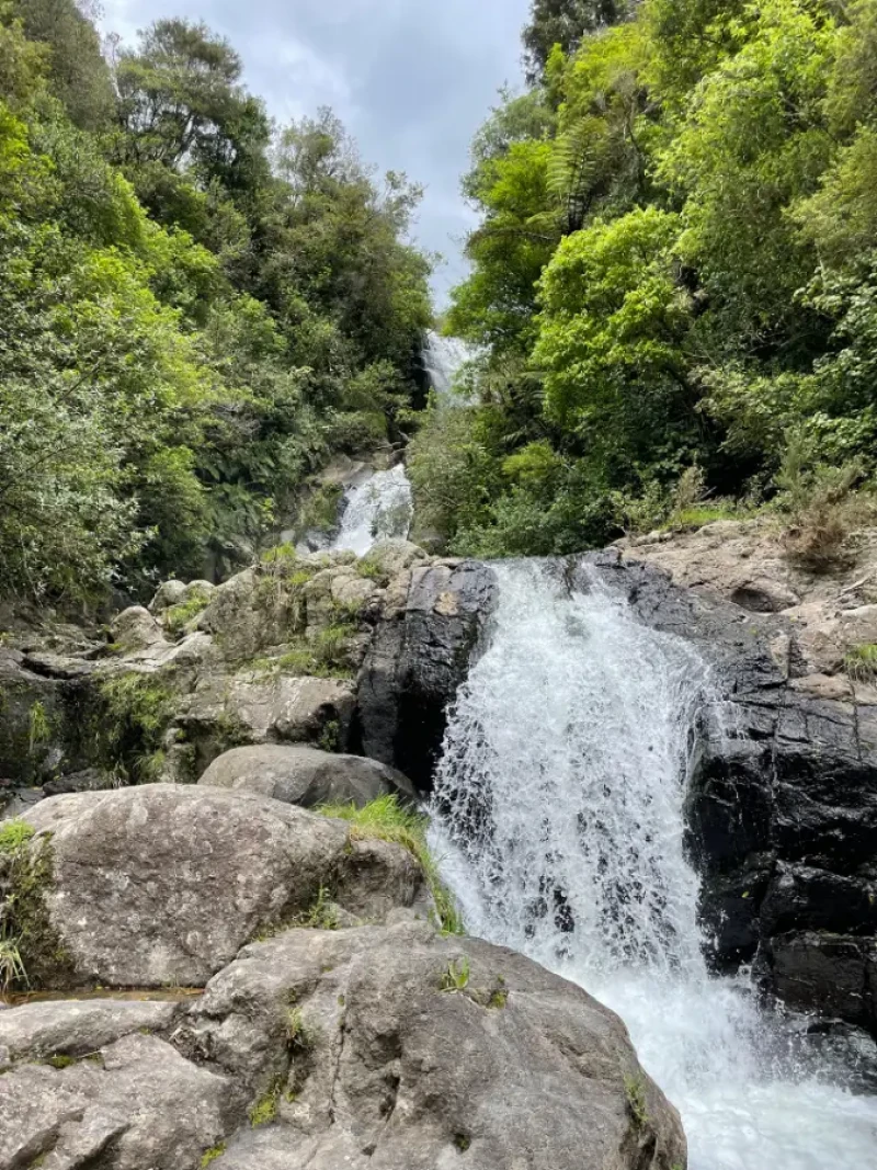 Ngāti Pūkenga Iwi, Tātai Kōrero | Te Tua Whakaheke