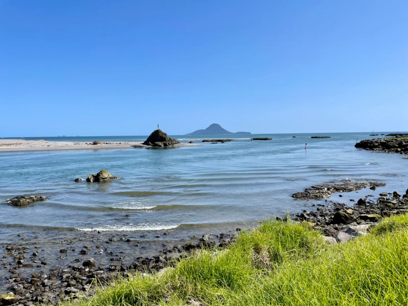 Ngāti Pūkenga Iwi, Quick facts | Migration